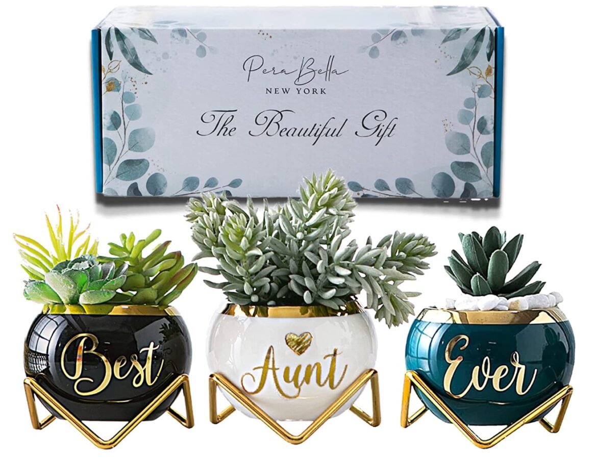 Aunt Gifts From Niece Or Nephew Best Aunt Ever Gifts Unique Gifts For Aunts Aunts Birthday Gifts And Auntie Gifts Succulent Birthday Gifts - Stepmom Gifts | Cubebik Blog