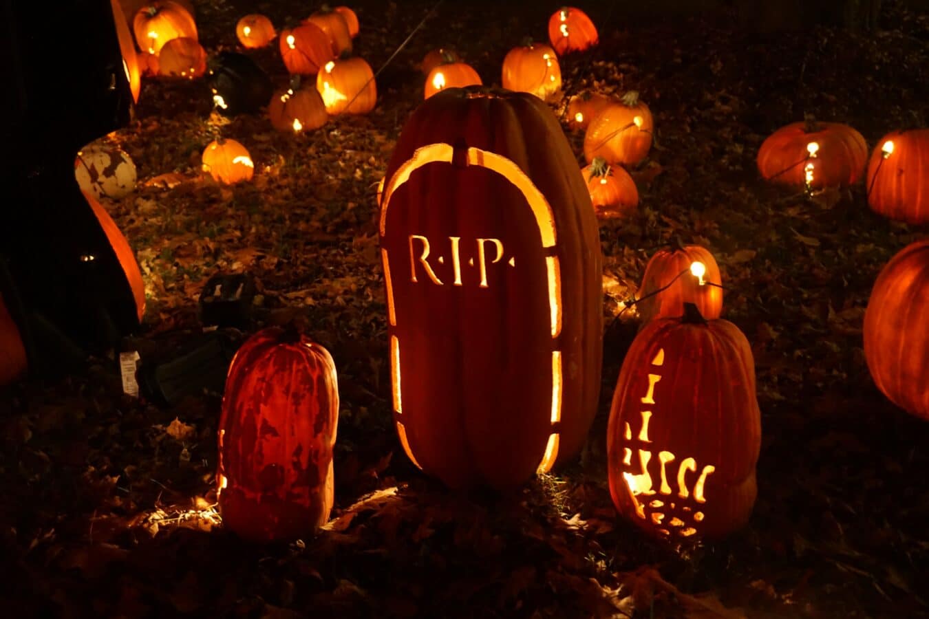 Easy Halloween Decoration Ideas for your Home - Halloween Decoration Ideas | CubeBik Blog