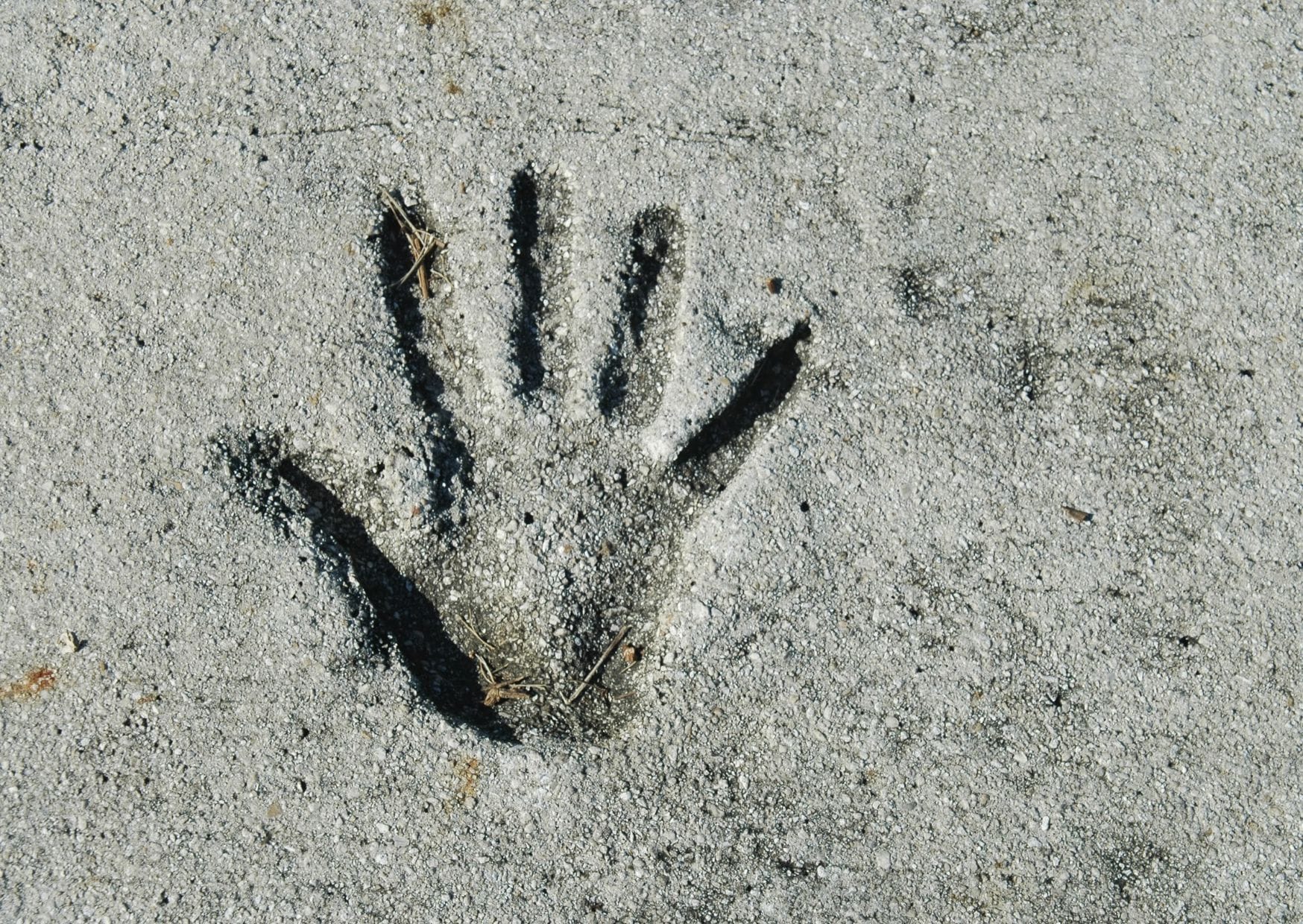 Garden Stepping Stones - father's day crafts | CubeBik Blog