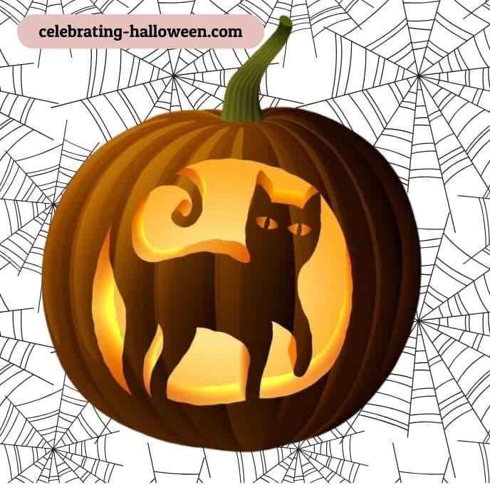 Black Cat with Arching Back - pumpkin carving ideas | CubeBik Blog