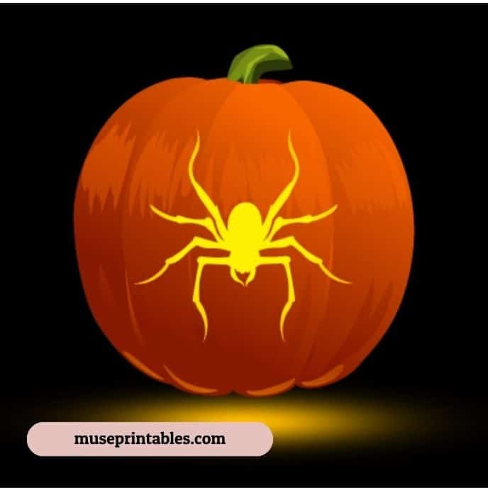 Creepy Crawling Spider - pumpkin carving ideas | CubeBik Blog