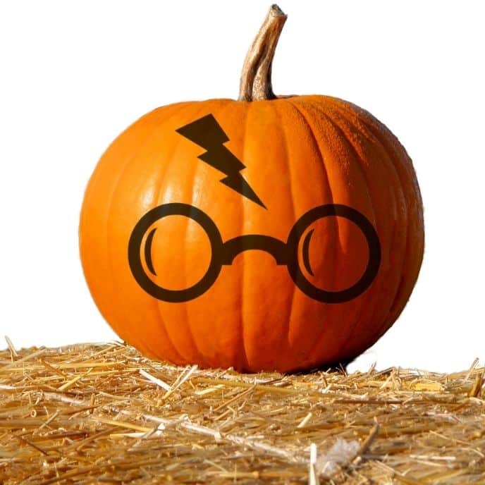 Harry Potter Characters - pumpkin carving ideas | CubeBik Blog