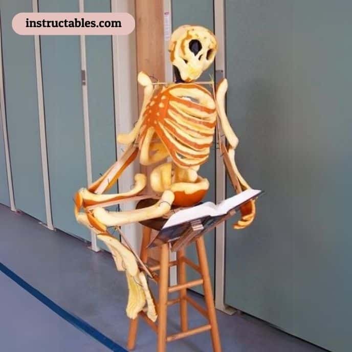 Life Sized Skeleton Emerging from Pumpkin Patch - pumpkin carving ideas | CubeBik Blog