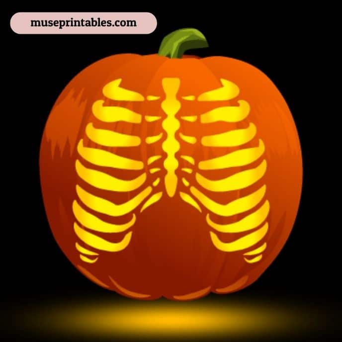 Open Chest Cavity with Ribs - pumpkin carving ideas | CubeBik Blog