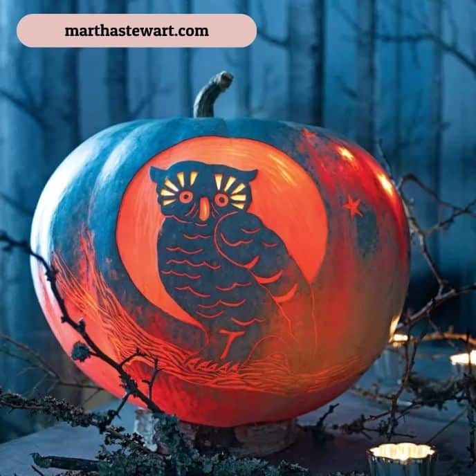 Wise Owl - pumpkin carving ideas | CubeBik Blog